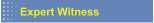 Expert Witness