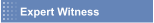 Expert Witness